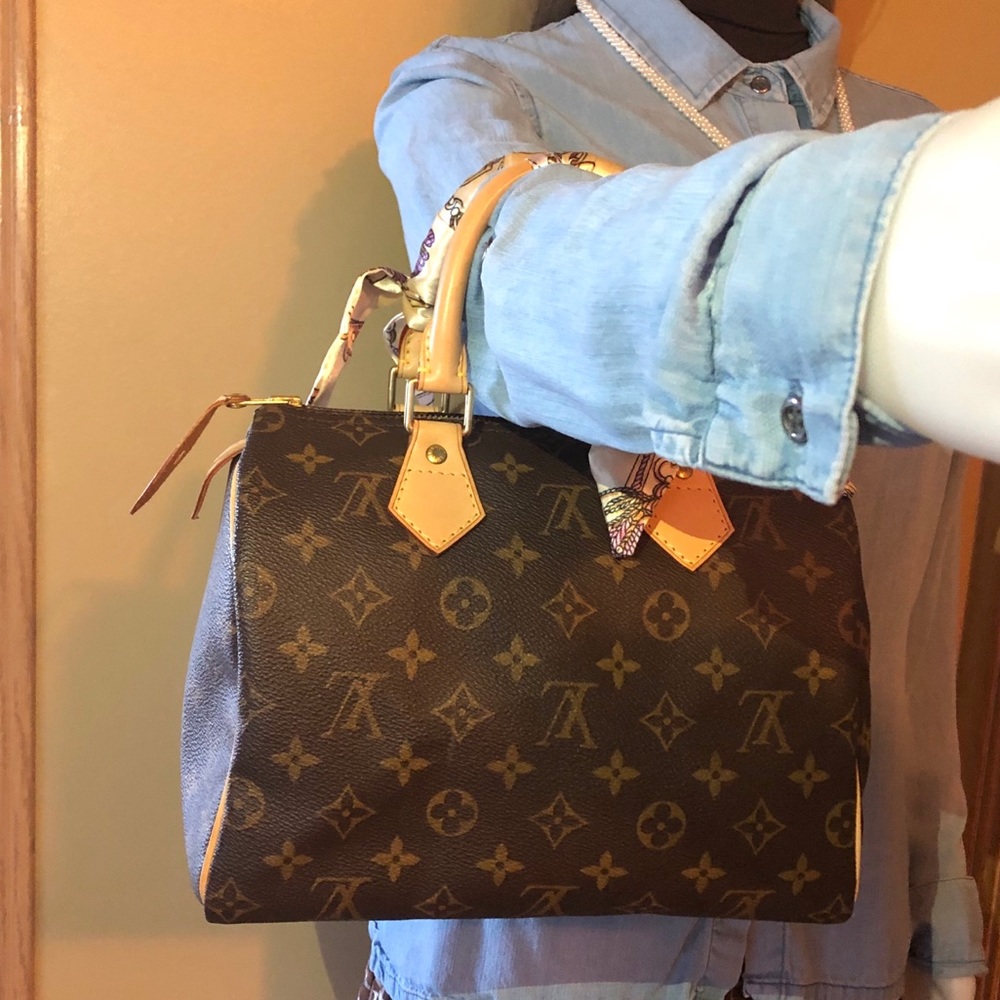 Louis Vuitton Speedy 25 Handbag